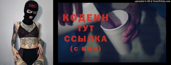 соль ск Кулебаки