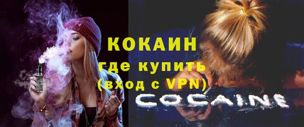 соль ск Кулебаки